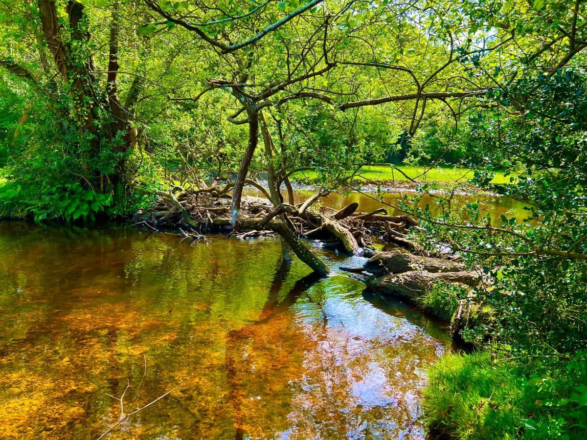 Jungle Lodge Lymington Dış mekan fotoğraf