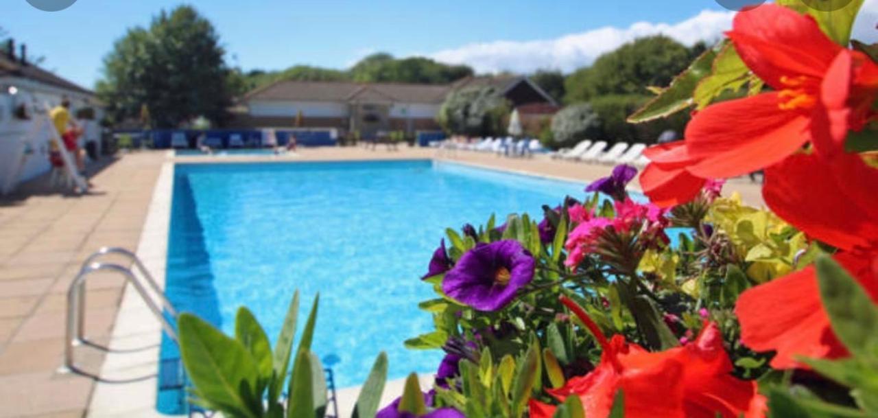 Jungle Lodge Lymington Dış mekan fotoğraf